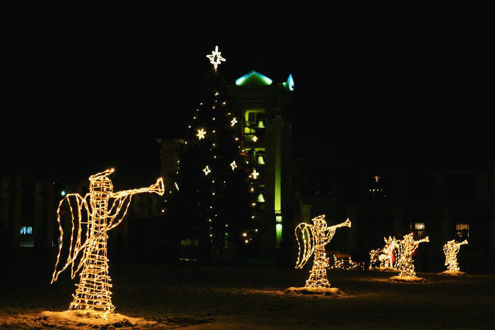 Professional Commercial Christmas Lights Installation Services by LandSharx Lawn and Snow