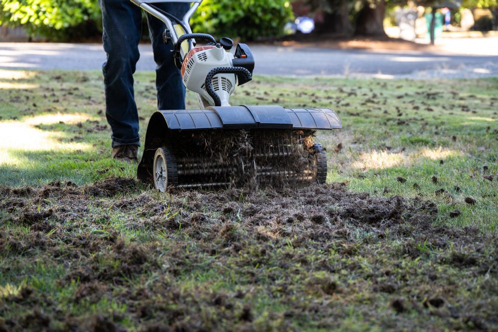 Power Rake and Power Dethatching Services by LandSharx lawn and Snow