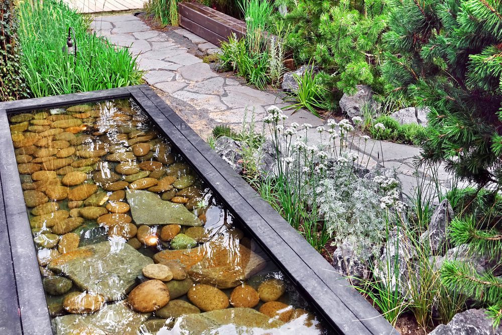 Drought Tollerant landscaping Features- LandSharx Landscaping