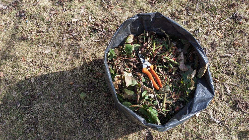 Spring Cleanup Services by LandSharx Lawn Care