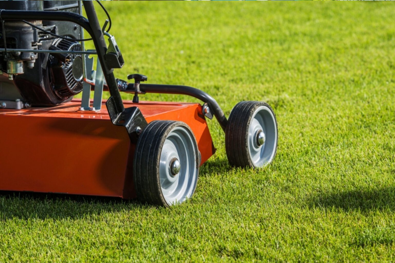 Edmonton Spring Cleanup by Landsharx Lawn Care and Snow Removal