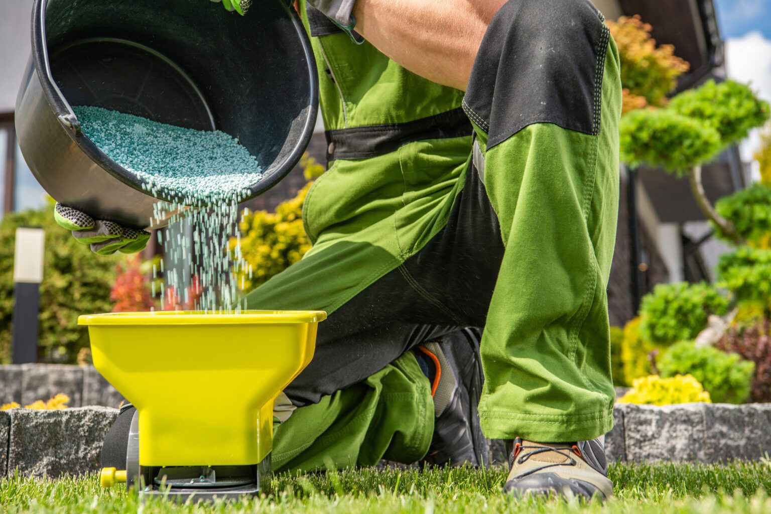 Lawn Fertilizer Service By Landsharx Lawn Care and Snow Removal