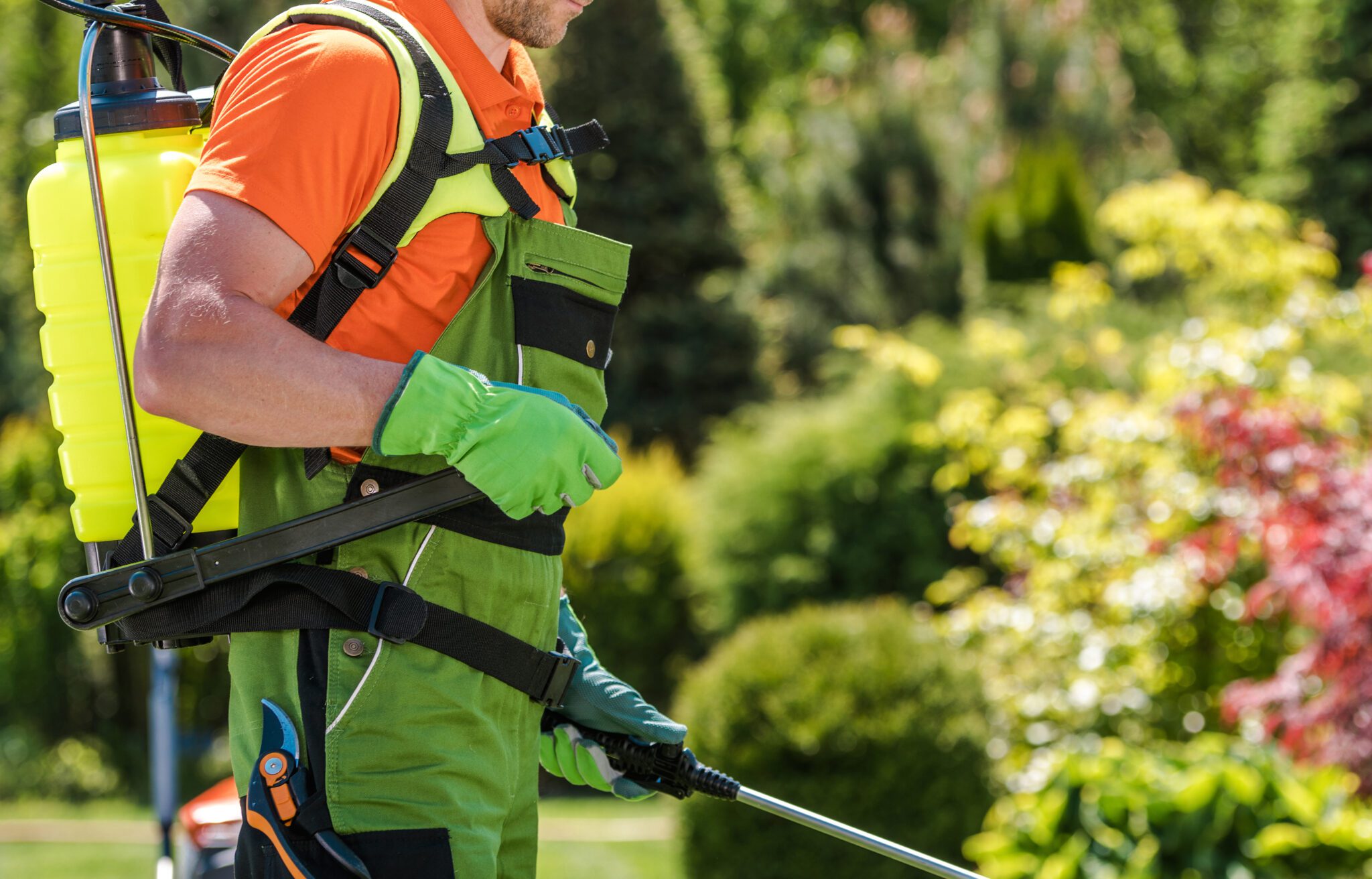 Vegetation Control and Weed Management by LandSharx Lawn and Snow