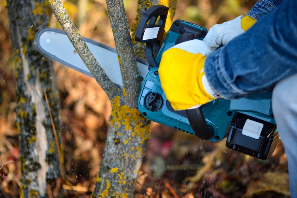 Commercial Tree Pruning and Hedge Pruning by LandSharx Lawn and Snow