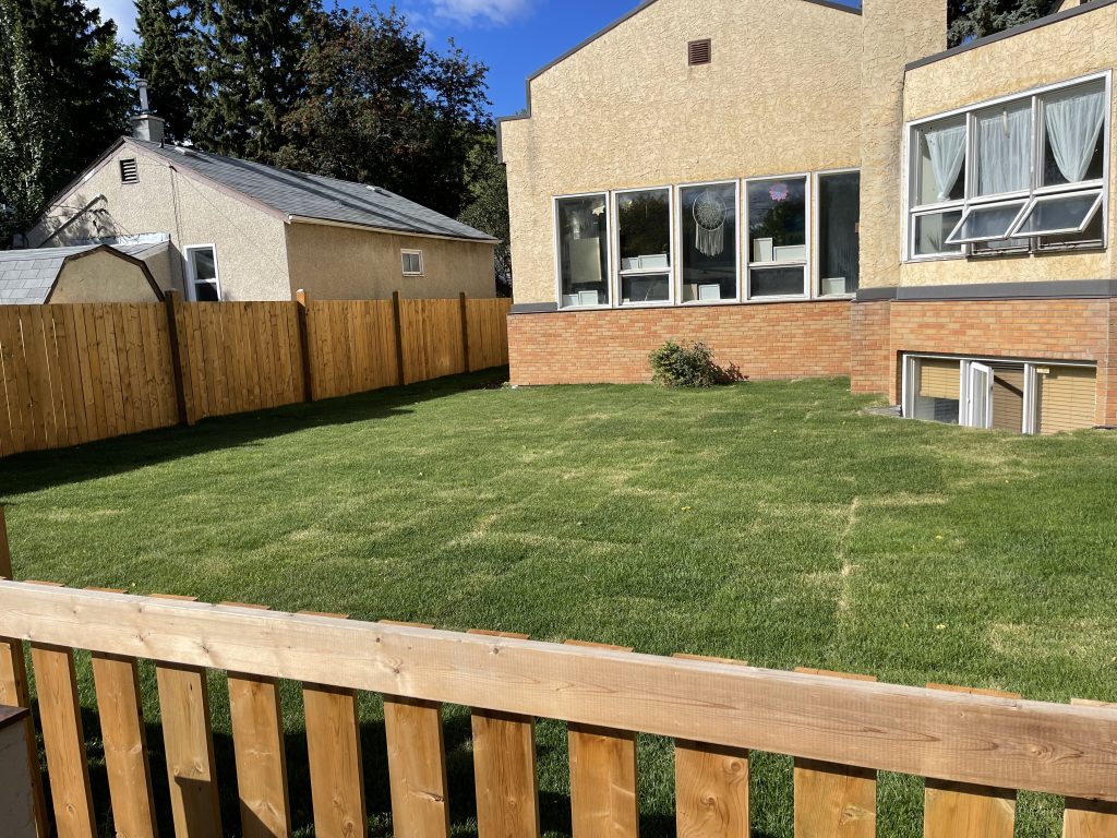 Weed Control services in Edmonton and Calgary