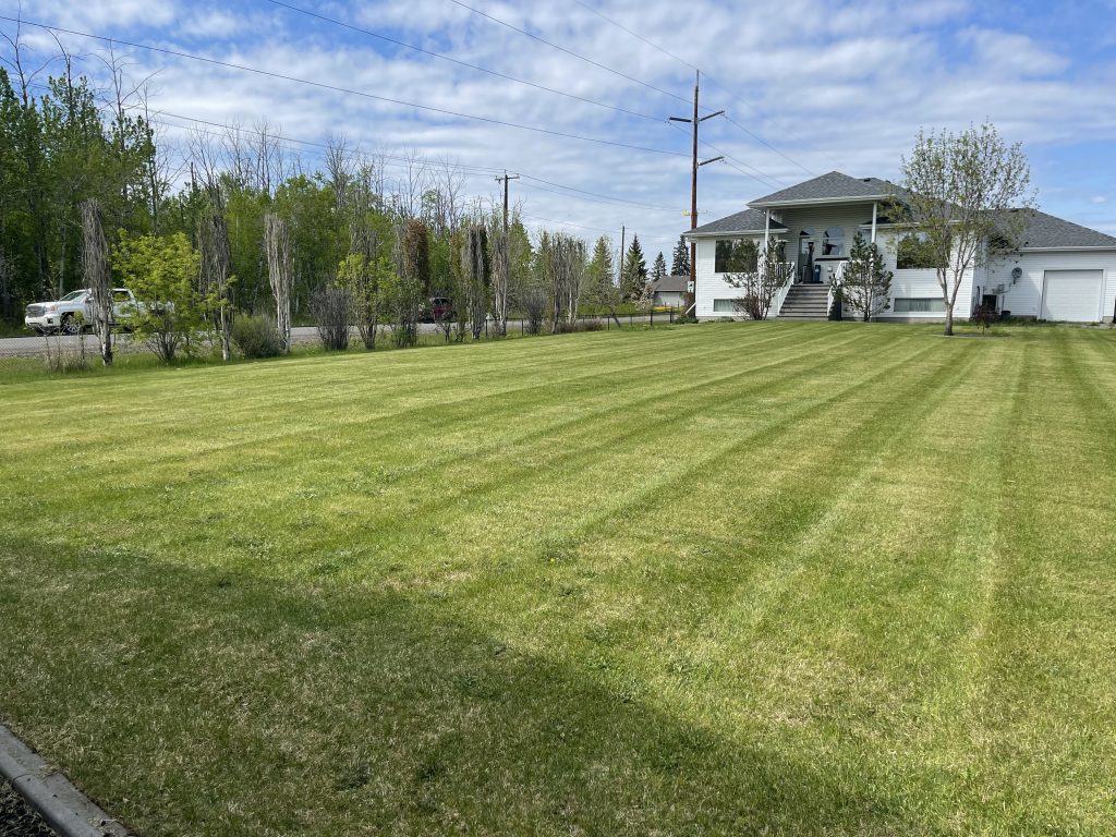 Weed control services in Calgary