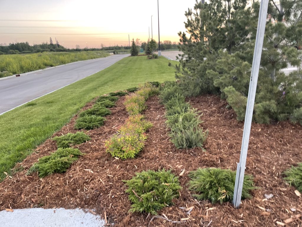 Commercial Landscaping services in Calgary