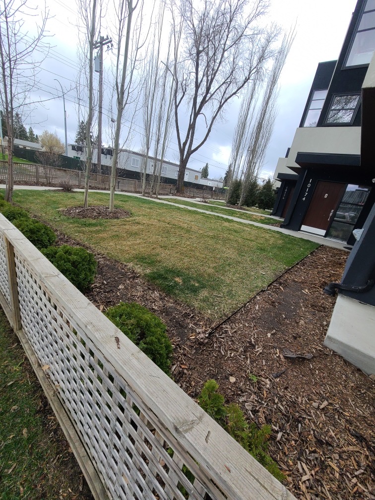 Power Raking services in Edmonton and Calgary