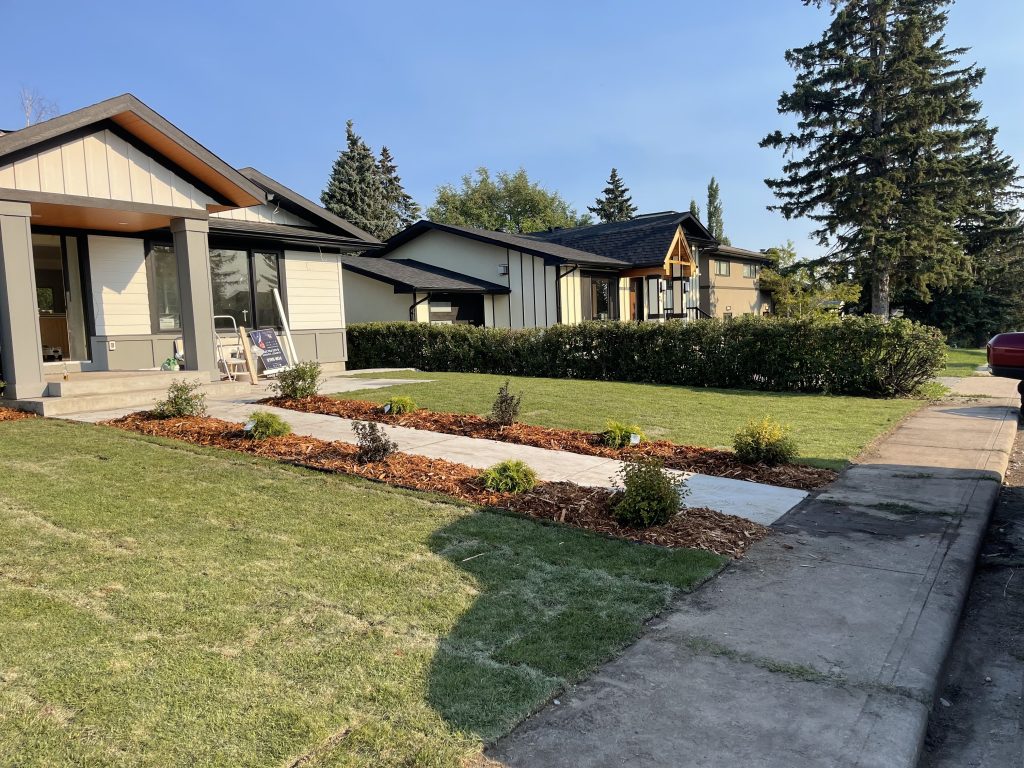 Tree & Shrub pruning services in Edmonton and Calgary