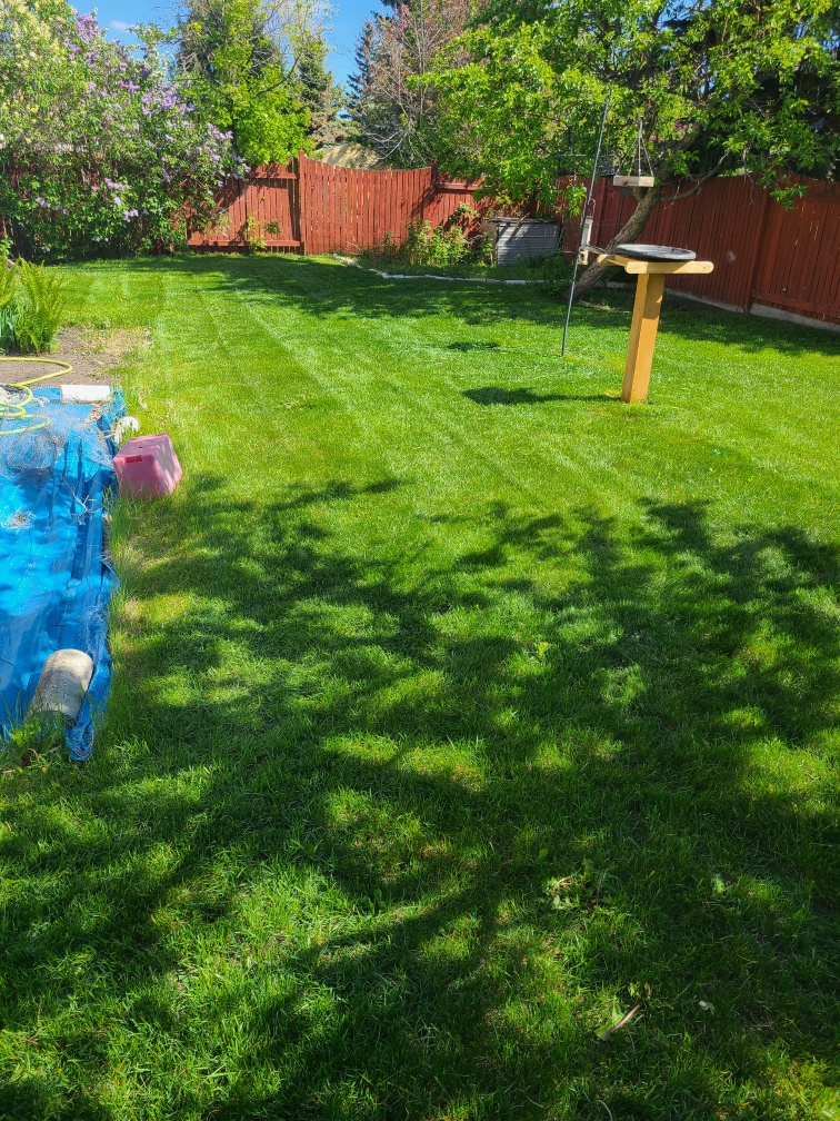 Lawn fertilization services in Edmonton and Calgary