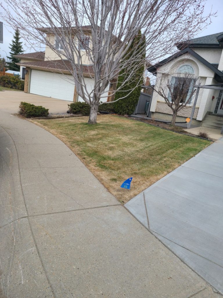 Tree & Stump removal services in Edmonton & Calgary