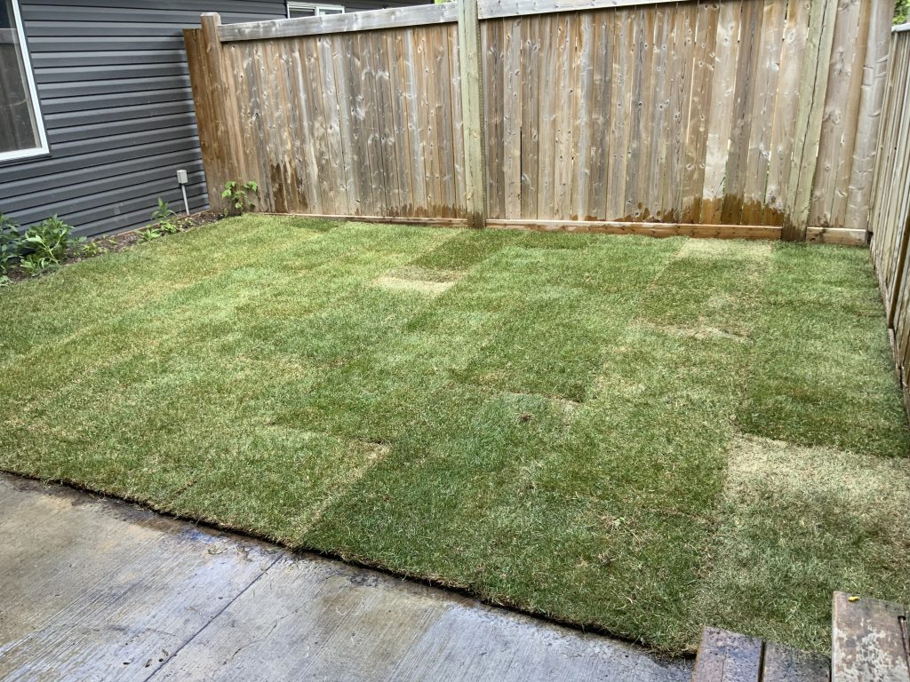 Sod Installation services in Edmonton