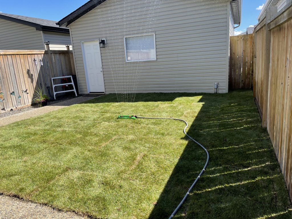 Lawn fertilization services in Calgary