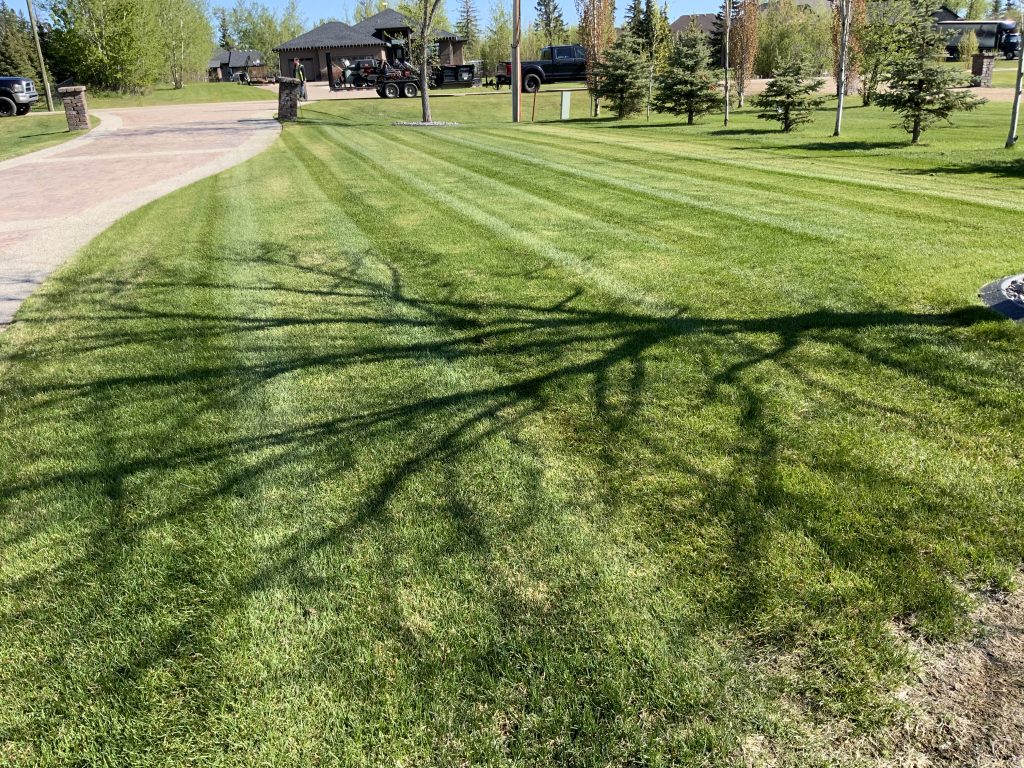 Commercial lawn care services in Edmonton