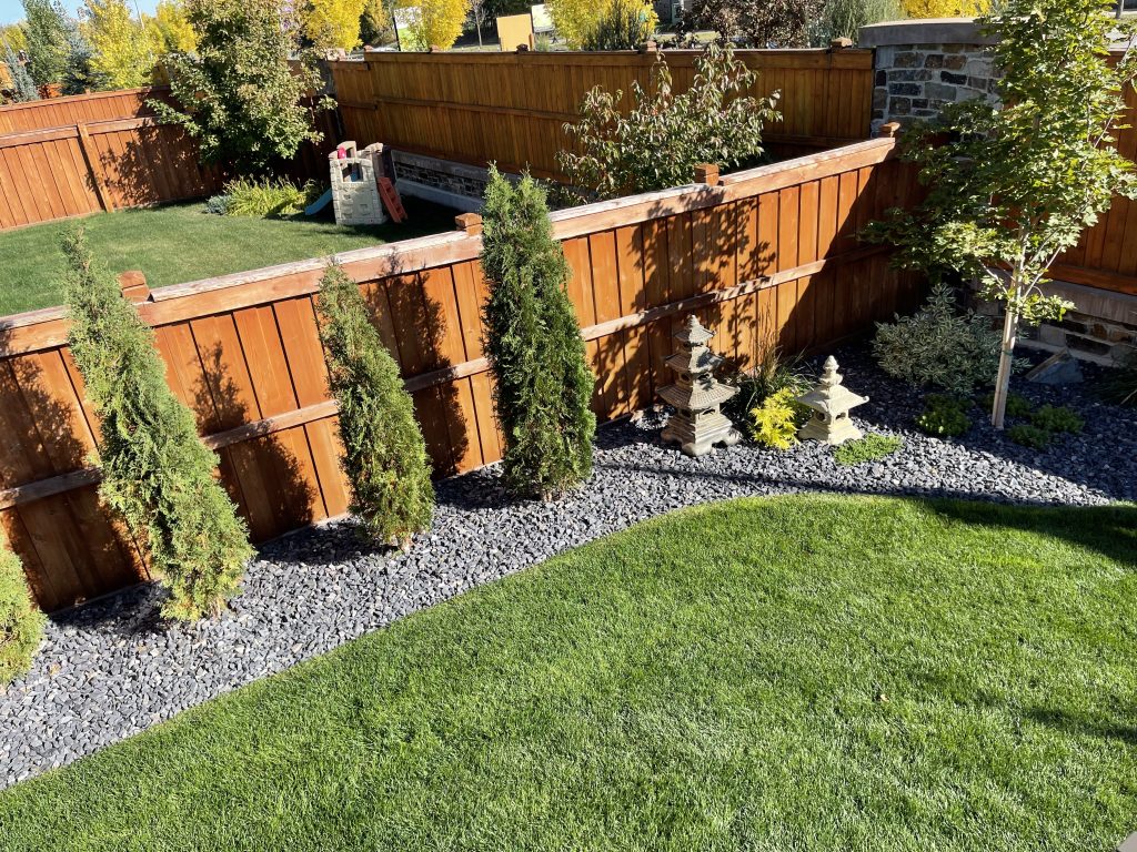 Tree & shrub pruning services in Calgary