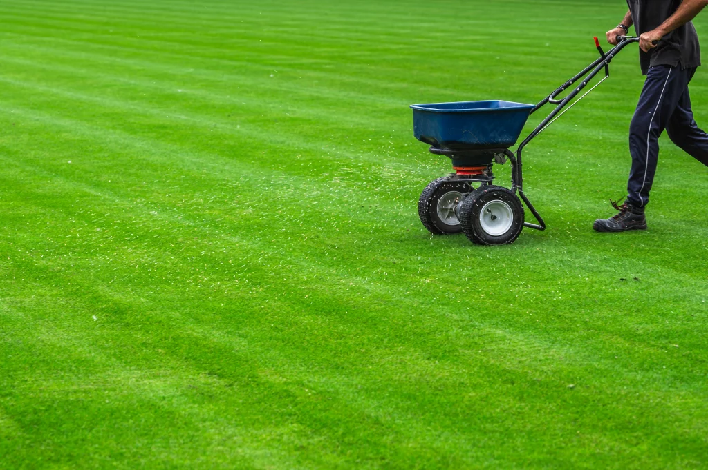 Current image: Applying fertilizer to a residential lawn in Edmonton during growing season