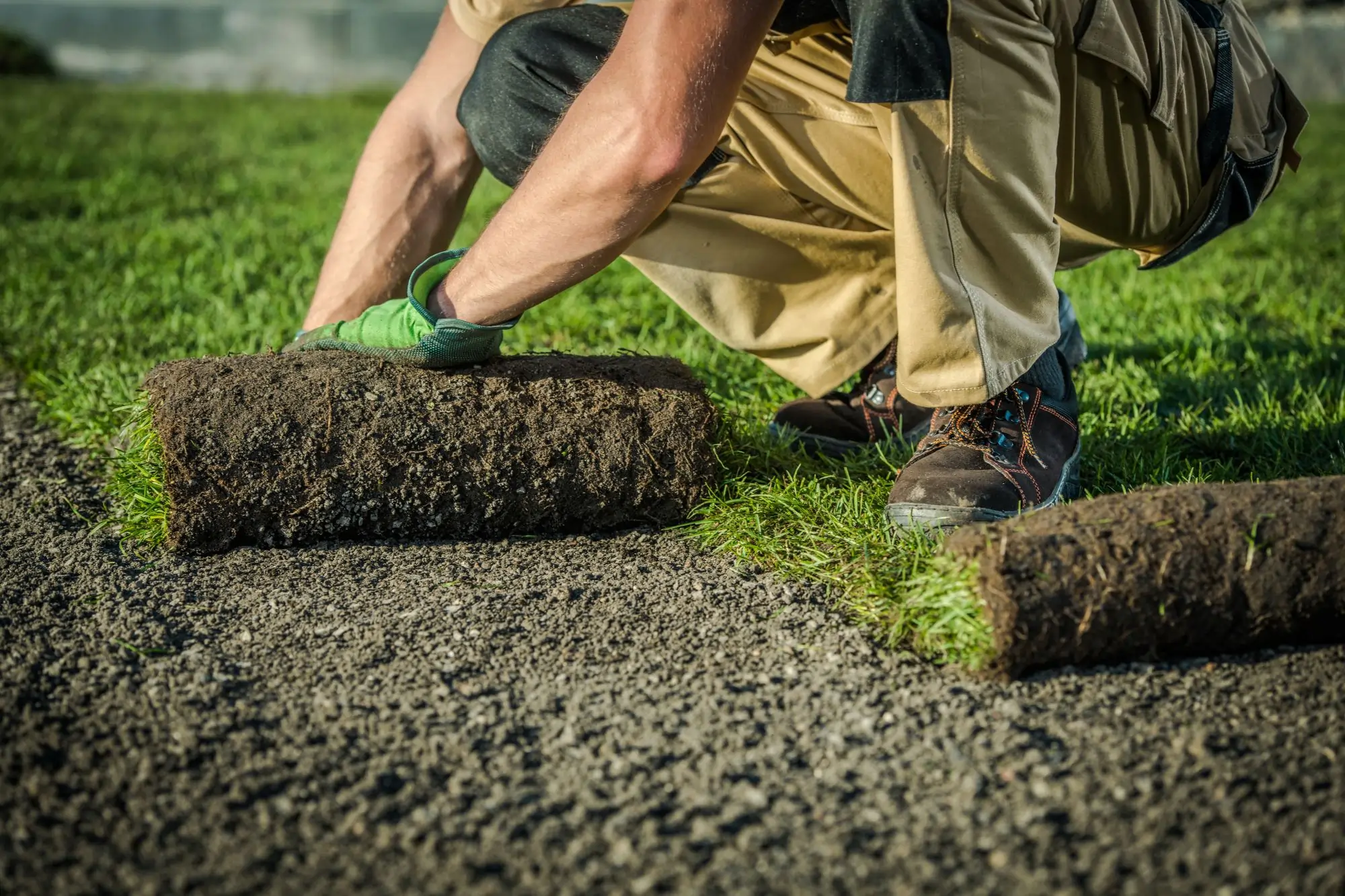 comparison of lawn repair and sod installation results in Edmonton yard