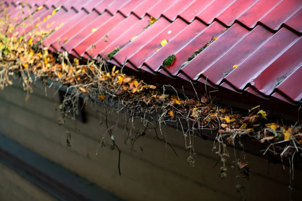 Current image: Overflowing clogged gutters on an Edmonton home during heavy rainfall