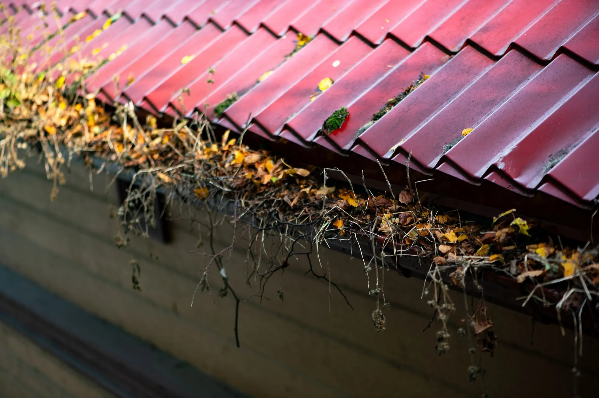 Signs Your Gutters Need Immediate Cleaning
