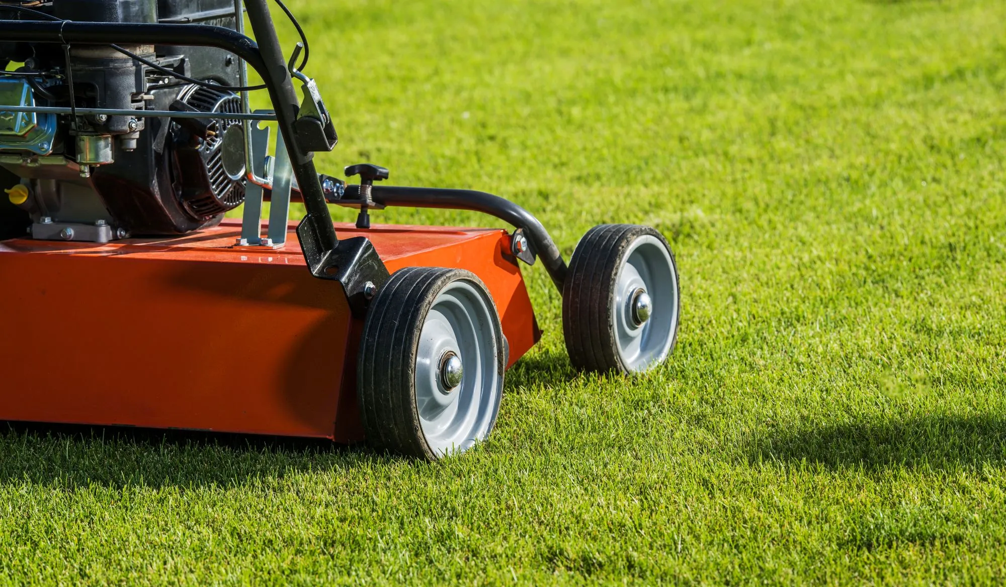 When Power Raking Is Needed vs Aeration
